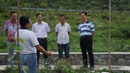 团区委副书记刘玄启到南丹调研农村青年创业就