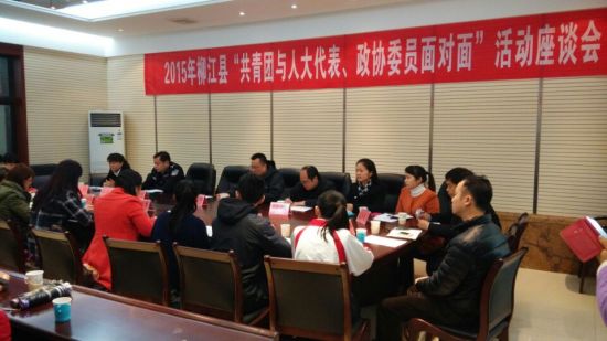柳江县2015年共青团与人大代表 政协委员面对