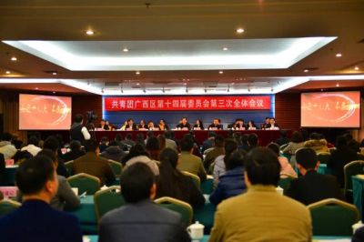 共青团广西区第十四届委员会第三次全体会议在南宁召开