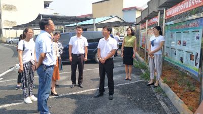 共青团广西区委副书记郑胜景到桂林市调研“青少年零犯罪零受害社区(村）”试点工作