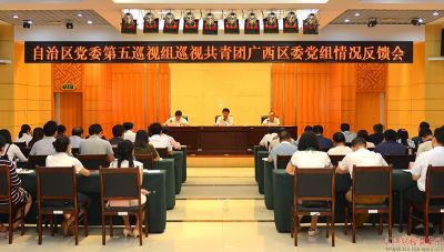 自治区党委第五巡视组向共青团广西区委党组反馈巡视情况