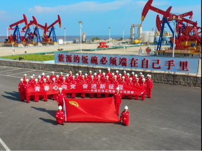 各地团员青年向团十九大报到