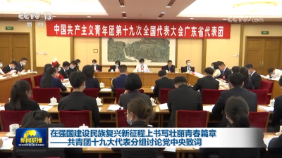 在强国建设民族复兴新征程上书写壮丽青春篇章  ——共青团十九大代表分组讨论党中央致词