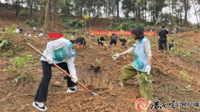 广西各族各界代表共植青年林