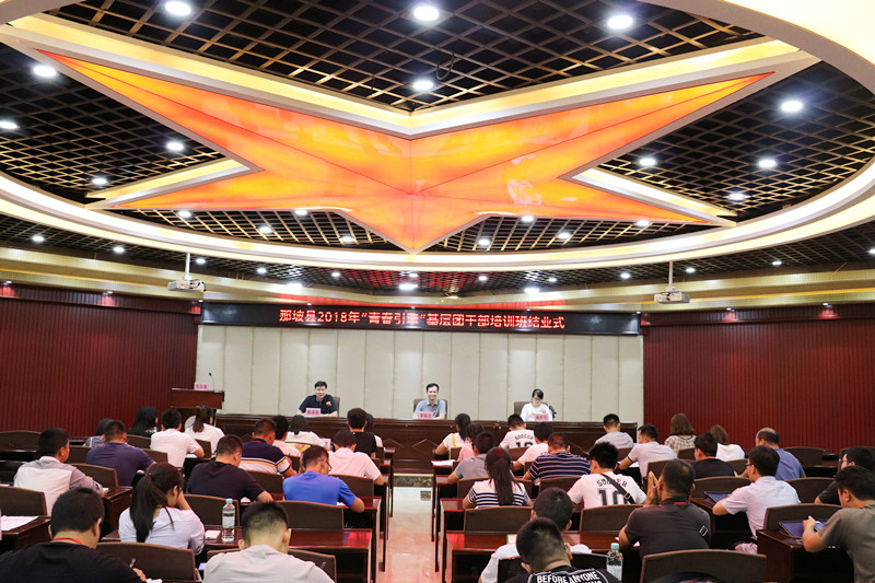 那坡县2018年“青春引擎”基层团干部培训班在我校圆满结束