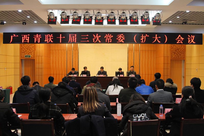 广西青联召开十届三次常委（扩大）会议