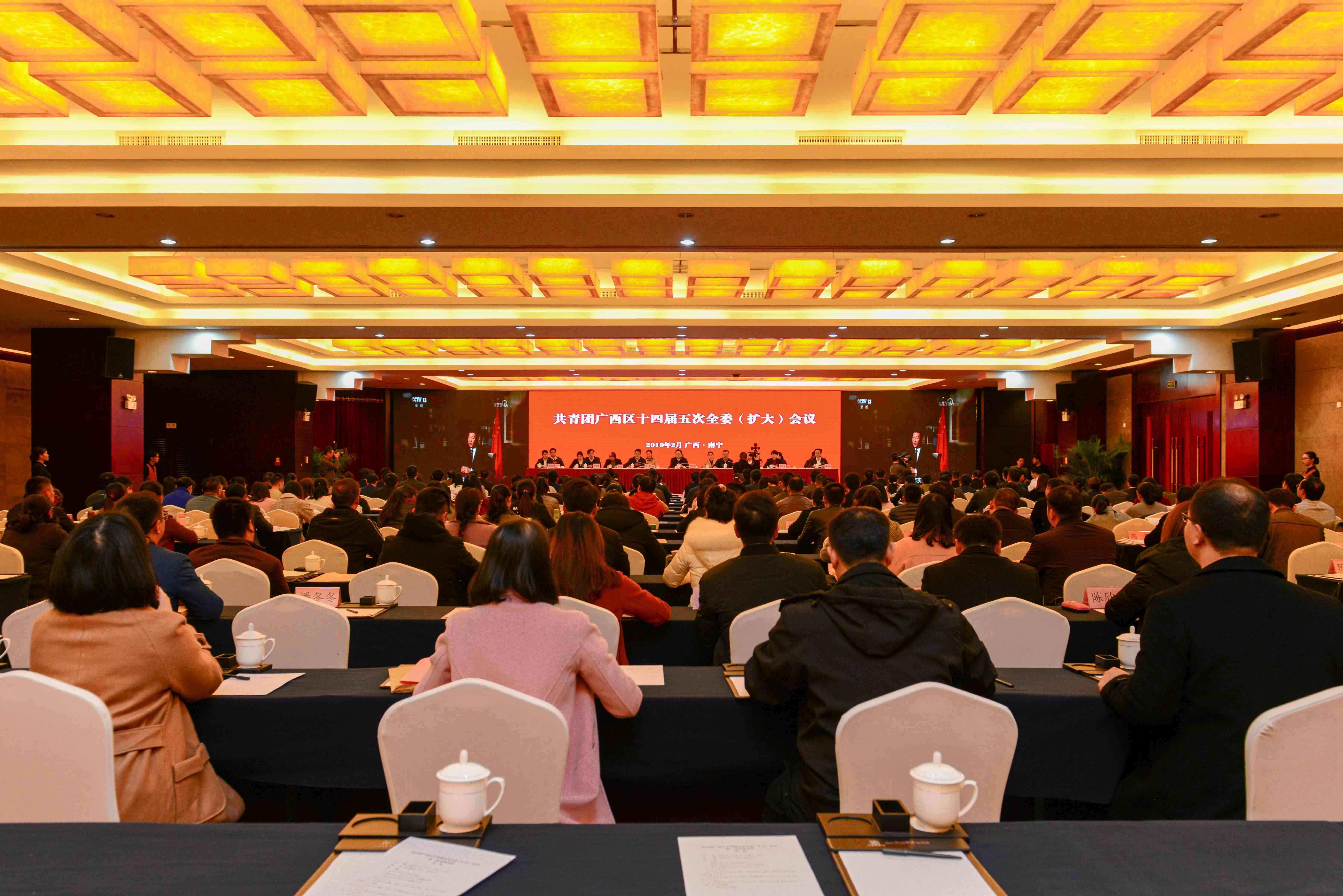 共青团广西区十四届五次全委（扩大）会议召开